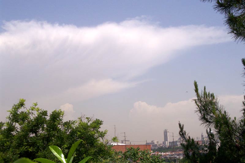 Cumulonimbus capillatus convectivo.