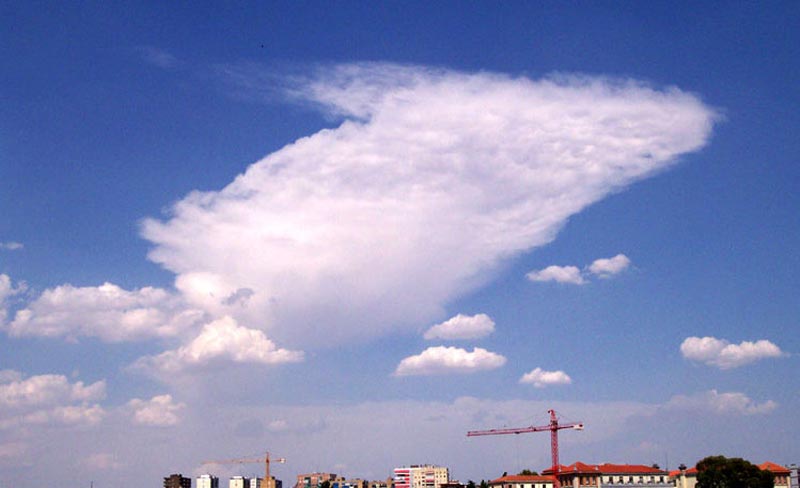 Cumulonimbus convectivo con yunque y mammas junto a cmulus humilis.