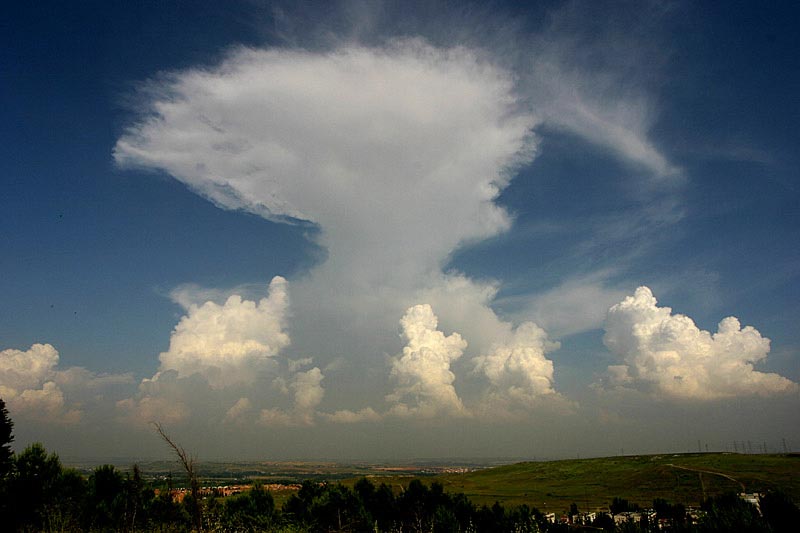 Cumulonimbus con varios cmulus congentus por delante de l.