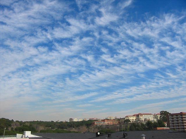 Cirrus fibratus.