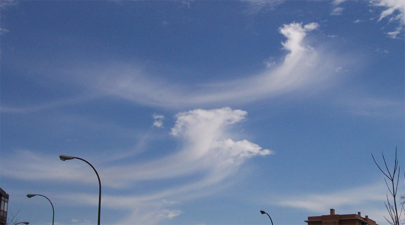 Cirrus floccus.