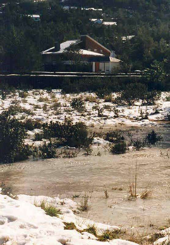 Arroyo con sus orillas congeladas y nieve helada, cercanas del Pueblo de Navacerrada, Madrid 02/96.