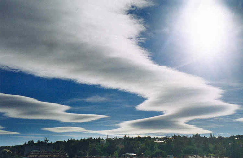 Lenticulares.