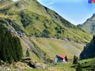 Hotel Cabana Capra en plenos monstes Fagaras y la cascada de la Cabra, a la izquierda de la foto.