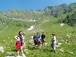 Fagaras, verano de 2008.