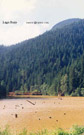 Imagen del lago Rojo desde el embarcadero.